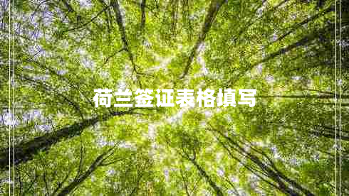 荷蘭簽證表格填寫(xiě)