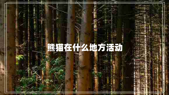 熊貓?jiān)谑裁吹胤交顒? title=