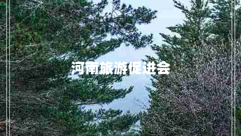 河南旅游促進(jìn)會