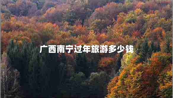 廣西南寧過(guò)年旅游多少錢