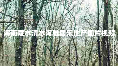 海南陵水清水灣雅居樂地產(chǎn)圖片視頻
