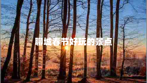 聊城春節(jié)好玩的景點(diǎn)