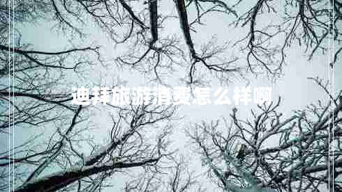 迪拜旅游消費(fèi)怎么樣啊