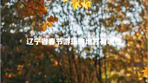 遼寧省春節游玩的地方有哪些