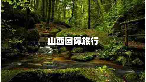 山西國際旅行