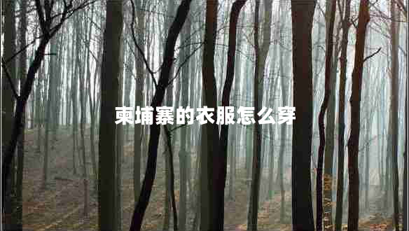 柬埔寨的衣服怎么穿