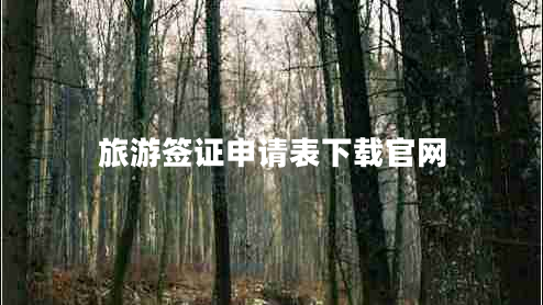 旅游簽證申請(qǐng)表下載官網(wǎng)