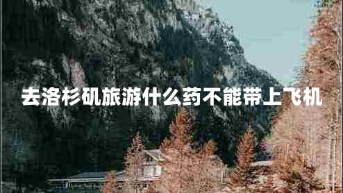 去洛杉磯旅游什么藥不能帶上飛機(jī)