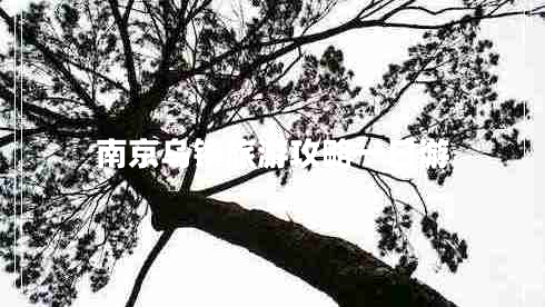 南京烏鎮(zhèn)旅游攻略一日游