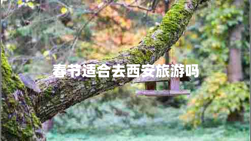 春節(jié)適合去西安旅游嗎