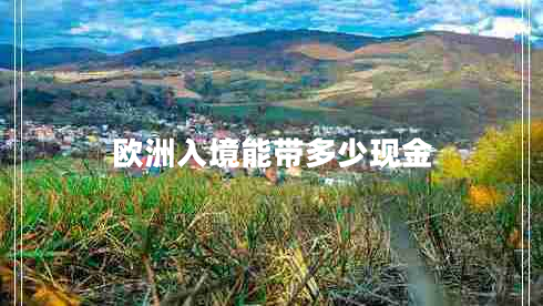 歐洲入境能帶多少現(xiàn)金