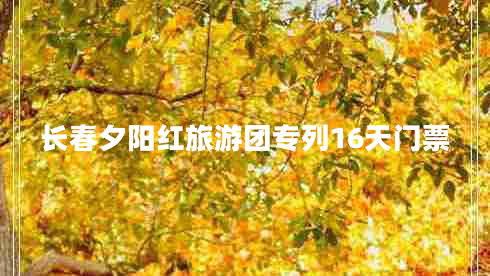 長(cháng)春夕陽(yáng)紅旅游團專(zhuān)列16天門(mén)票