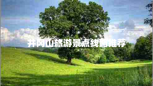 井岡山旅游景點(diǎn)線(xiàn)路推薦