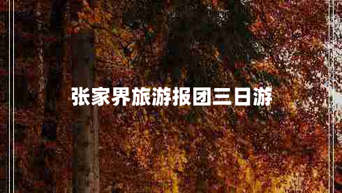 張家界旅游報團(tuán)三日游