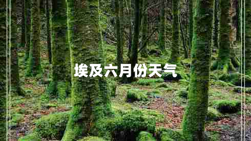 埃及六月份天氣