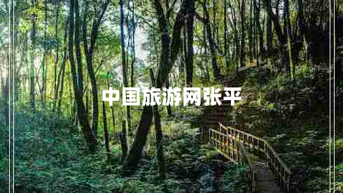 中國旅游網(wǎng)張平