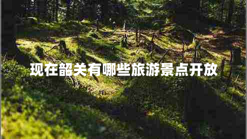 現在韶關(guān)有哪些旅游景點(diǎn)開(kāi)放