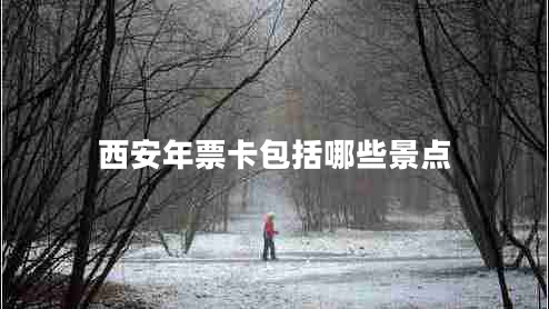 西安年票卡包括哪些景點