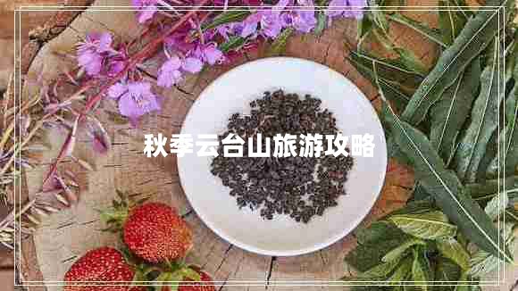 秋季云臺(tái)山旅游攻略