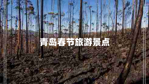 青島春節(jié)旅游景點