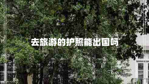去旅游的護(hù)照能出國嗎