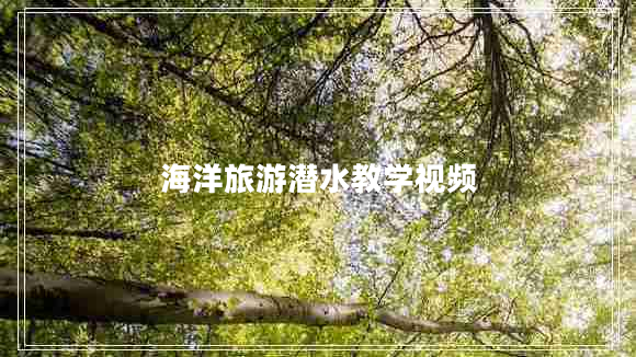 海洋旅游潛水教學(xué)視頻