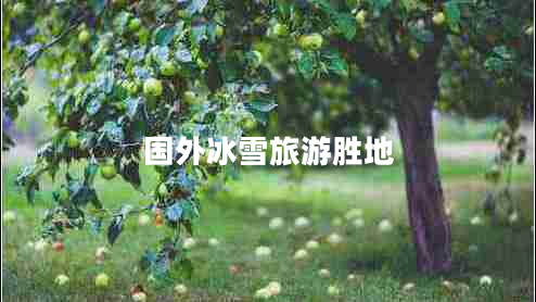 國(guó)外冰雪旅游勝地