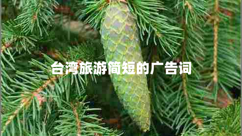 臺(tái)灣旅游簡(jiǎn)短的廣告詞
