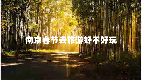 南京春節去旅游好不好玩