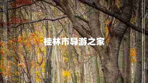 桂林市導(dǎo)游之家