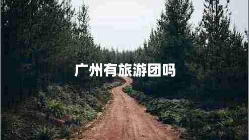 廣州有旅游團嗎