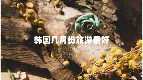 韓國幾月份旅游最好