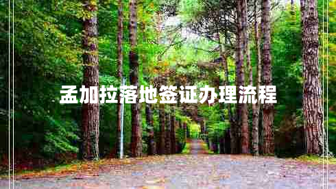 孟加拉落地簽證辦理流程