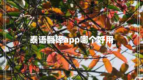 泰語(yǔ)翻譯app哪個(gè)好用