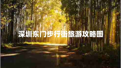 深圳東門(mén)步行街旅游攻略圖