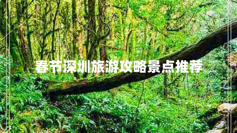 春節(jié)深圳旅游攻略景點推薦