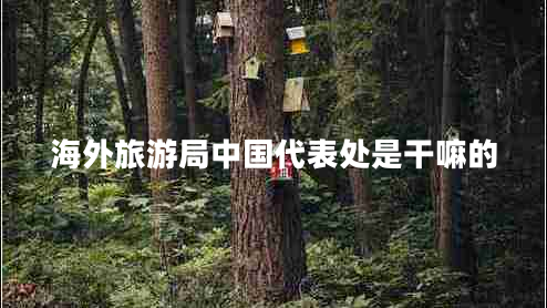 海外旅游局中國(guó)代表處是干嘛的