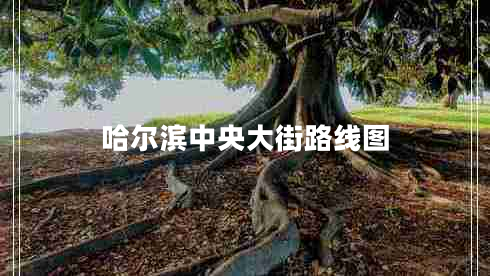 哈爾濱中央大街路線圖