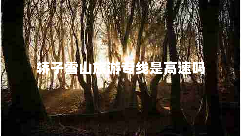轎子雪山旅游專(zhuān)線是高速嗎