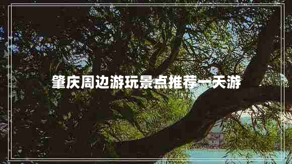 肇慶周邊游玩景點(diǎn)推薦一天游