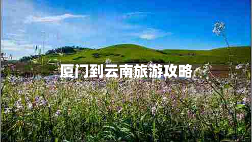 廈門(mén)到云南旅游攻略