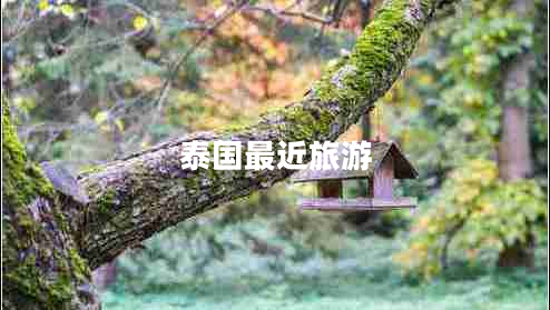 泰國最近旅游
