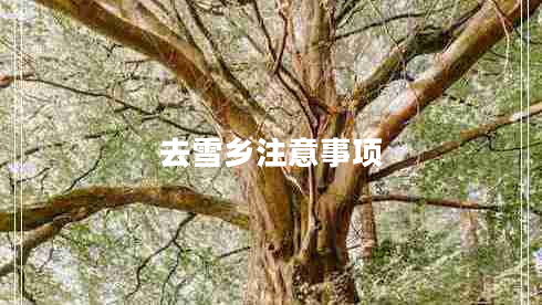 去雪鄉(xiāng)注意事項