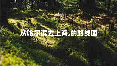 從哈爾濱去上海,的路線圖