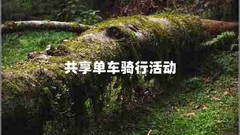 共享單車騎行活動(dòng)