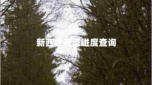 新西蘭簽證進(jìn)度查詢