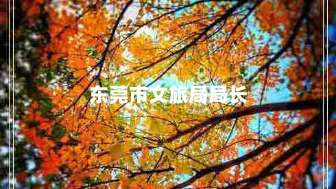東莞市文旅局局長