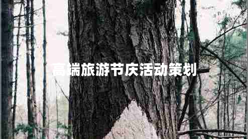 高端旅游節慶活動(dòng)策劃