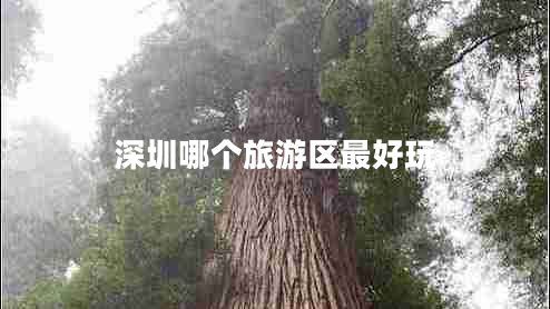 深圳哪個(gè)旅游區(qū)最好玩