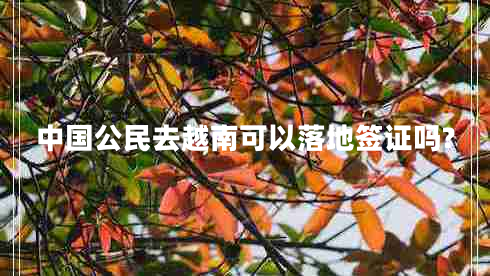 中國(guó)公民去越南可以落地簽證嗎?